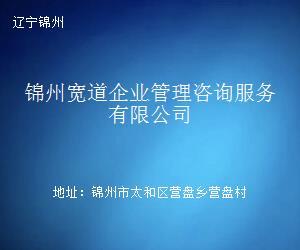 锦州宽道企业管理咨询服务