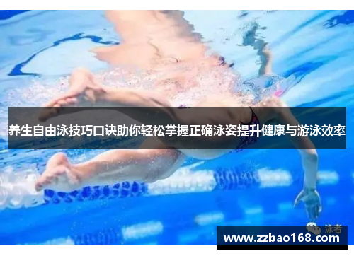 养生自由泳技巧口诀助你轻松掌握正确泳姿提升健康与游泳效率