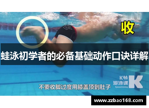 蛙泳初学者的必备基础动作口诀详解